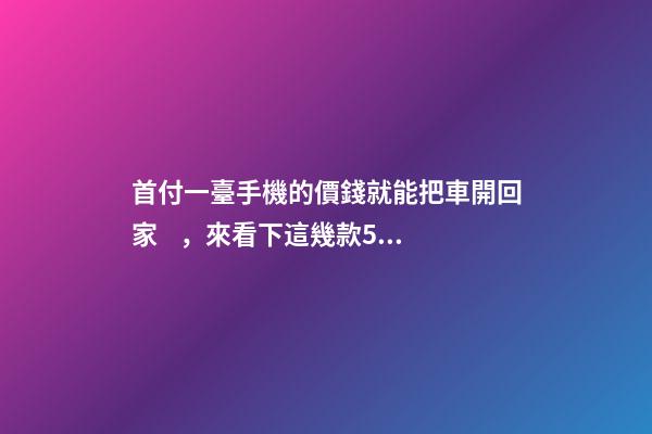 首付一臺手機的價錢就能把車開回家，來看下這幾款5萬元級別的小型車